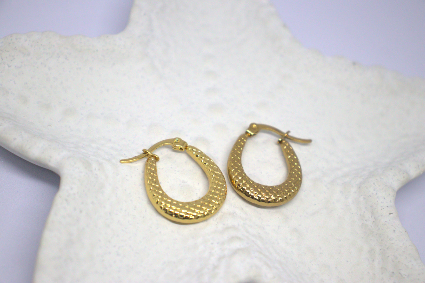 Sunbeam Golden Hoops